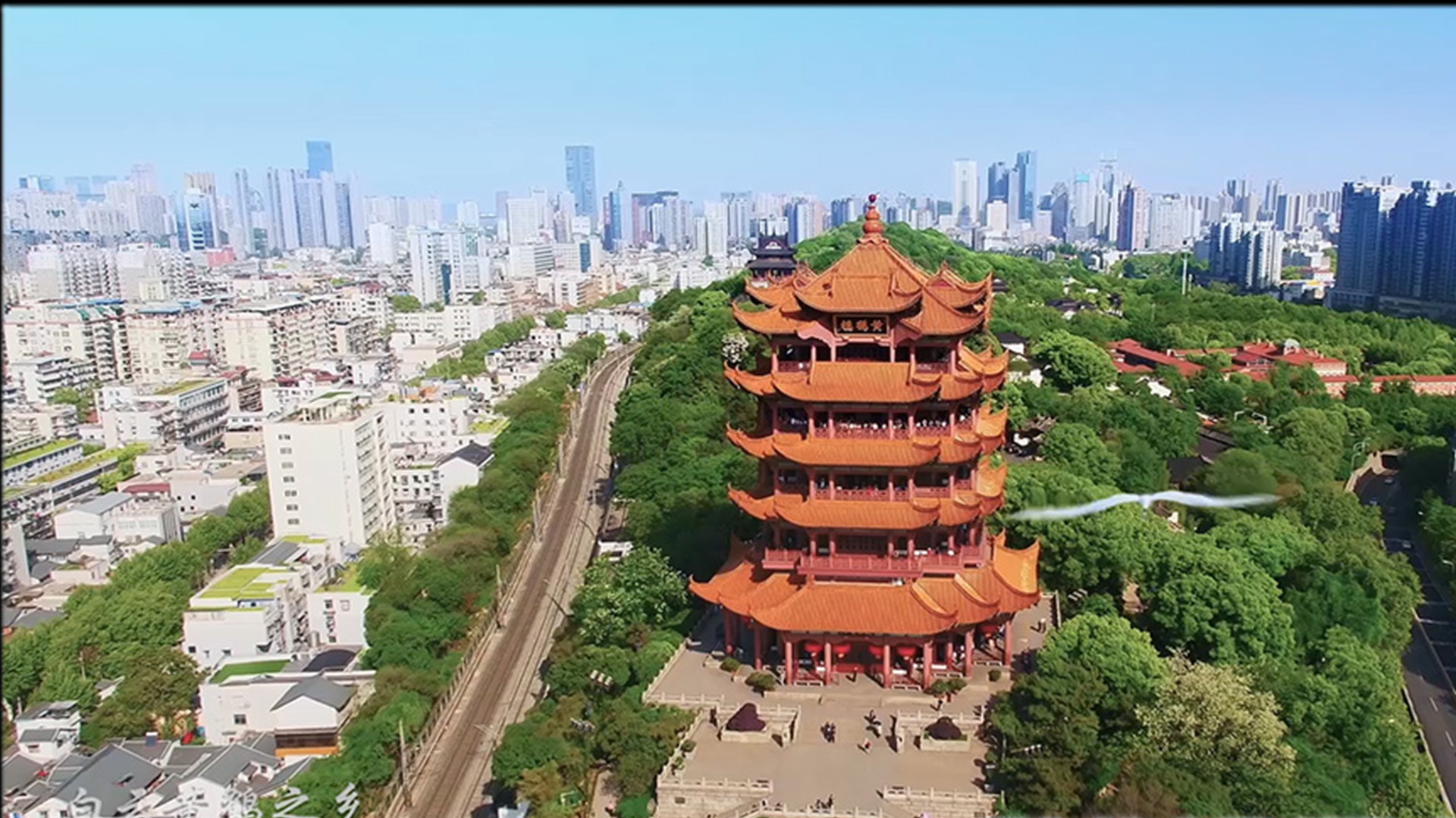 武汉湿地城市申报片